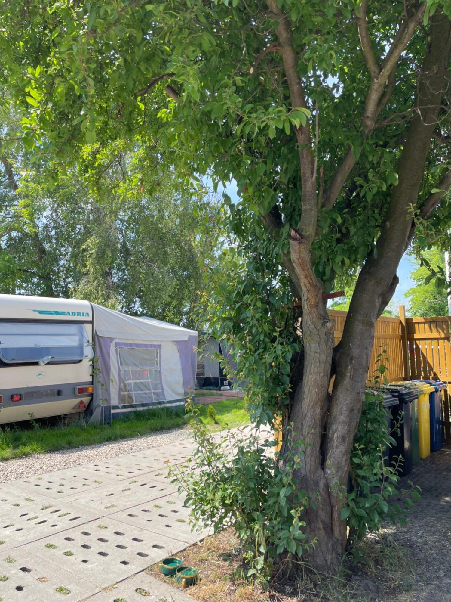 Sonata Camp Otel Jastarnia Dış mekan fotoğraf